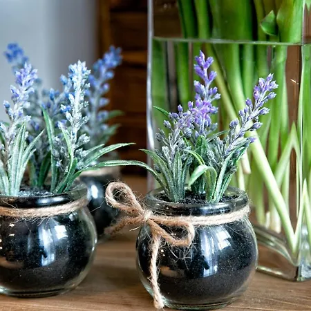 Διαμέρισμα Apartament Z Ogrodem *