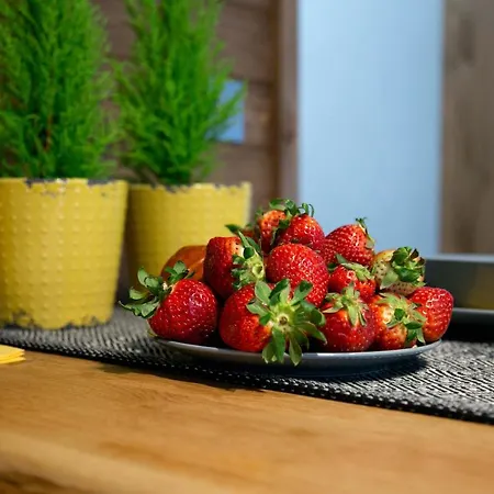 Apartament Z Ogrodem Ζακοπάνε